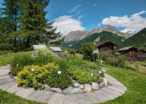 Ricola Herb garden in Zermatt