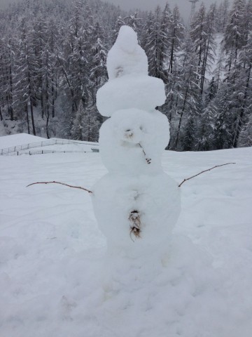 Snowman3-11Jan2016
