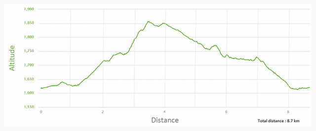 trail running zermatt