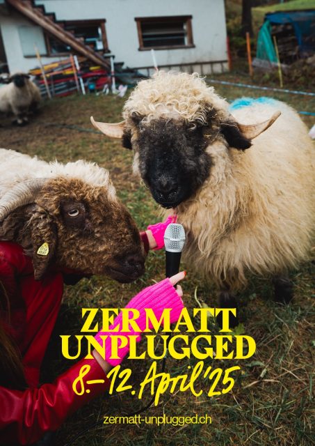 zermatt-sheep
